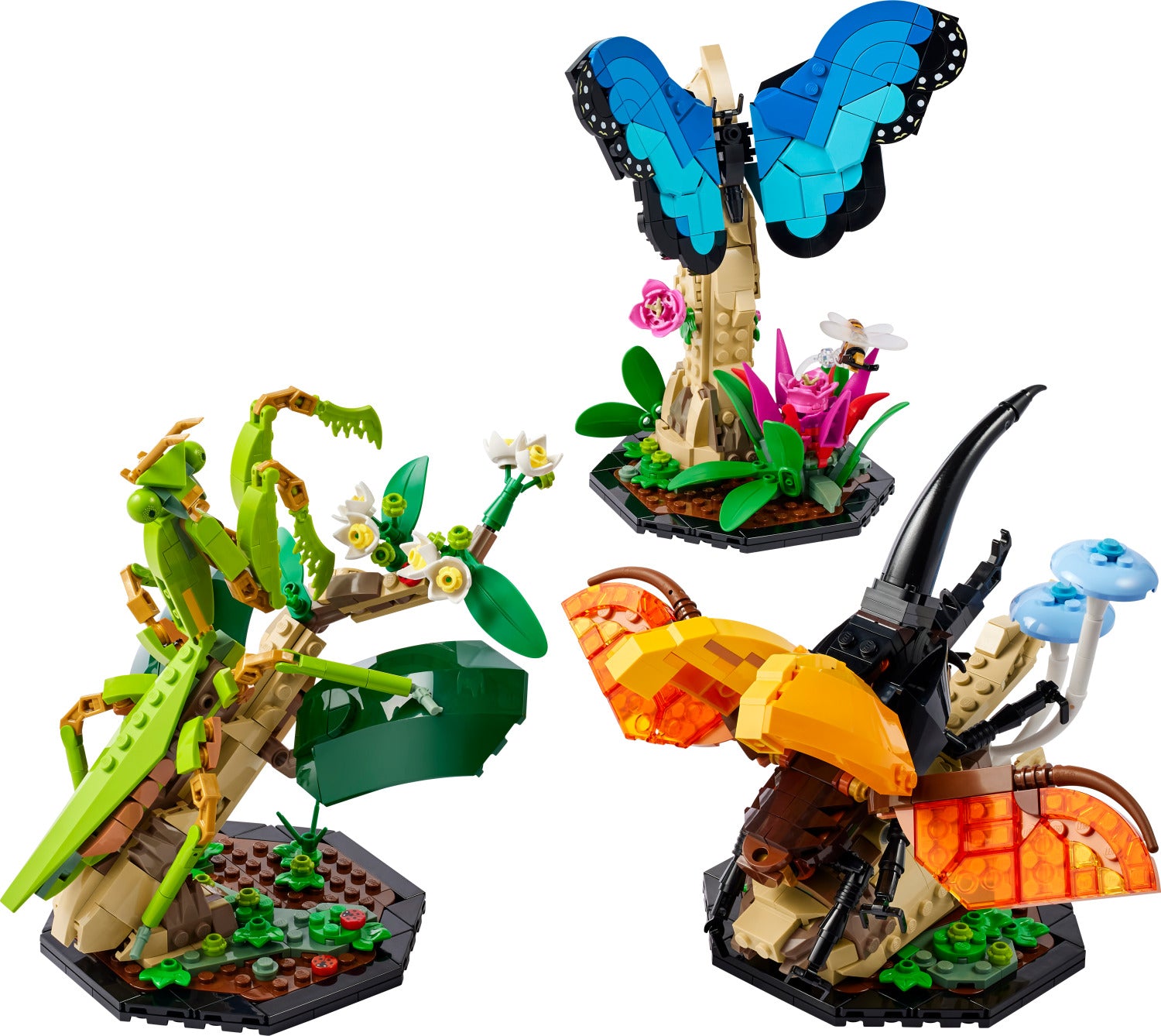 LEGO Ideas: The Insect Collection