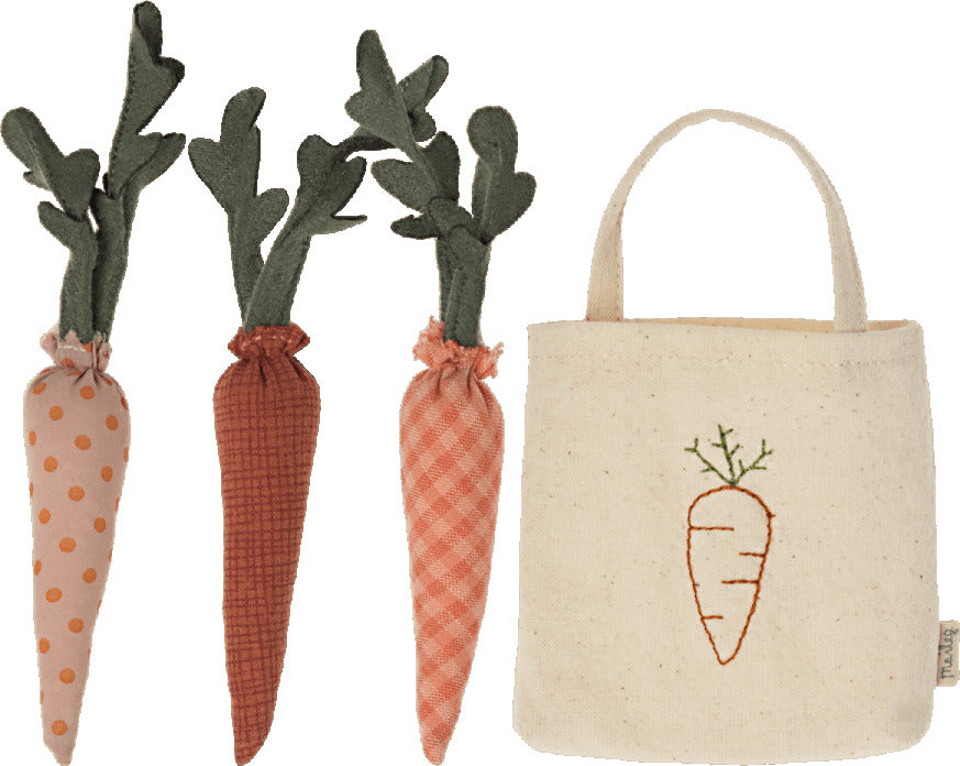 Carrots in Shopping Bag