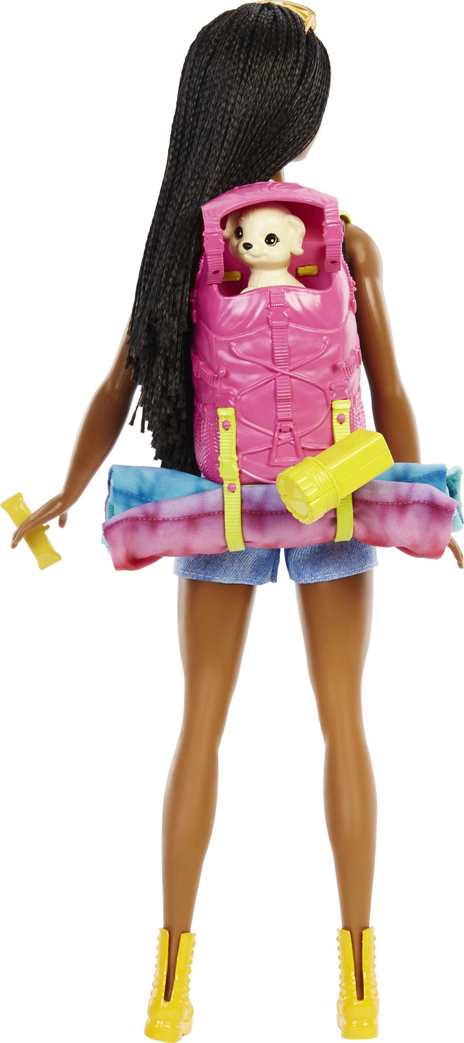 Barbie Doll And Accessories - HDF74