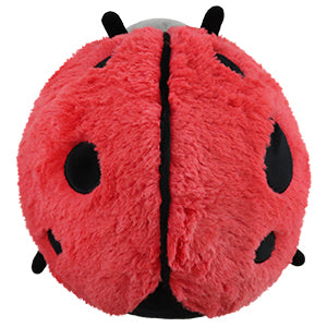 Mini Ladybug Squishable
