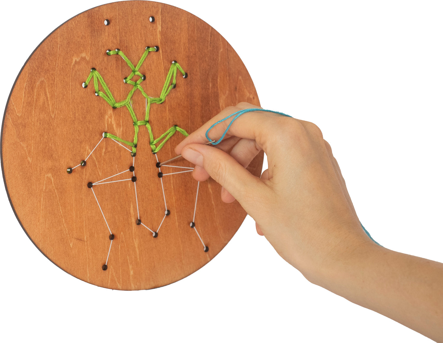 Wooden Embroidery Kit – Insects