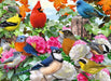 Garden Birds (500 Piece Puzzle)