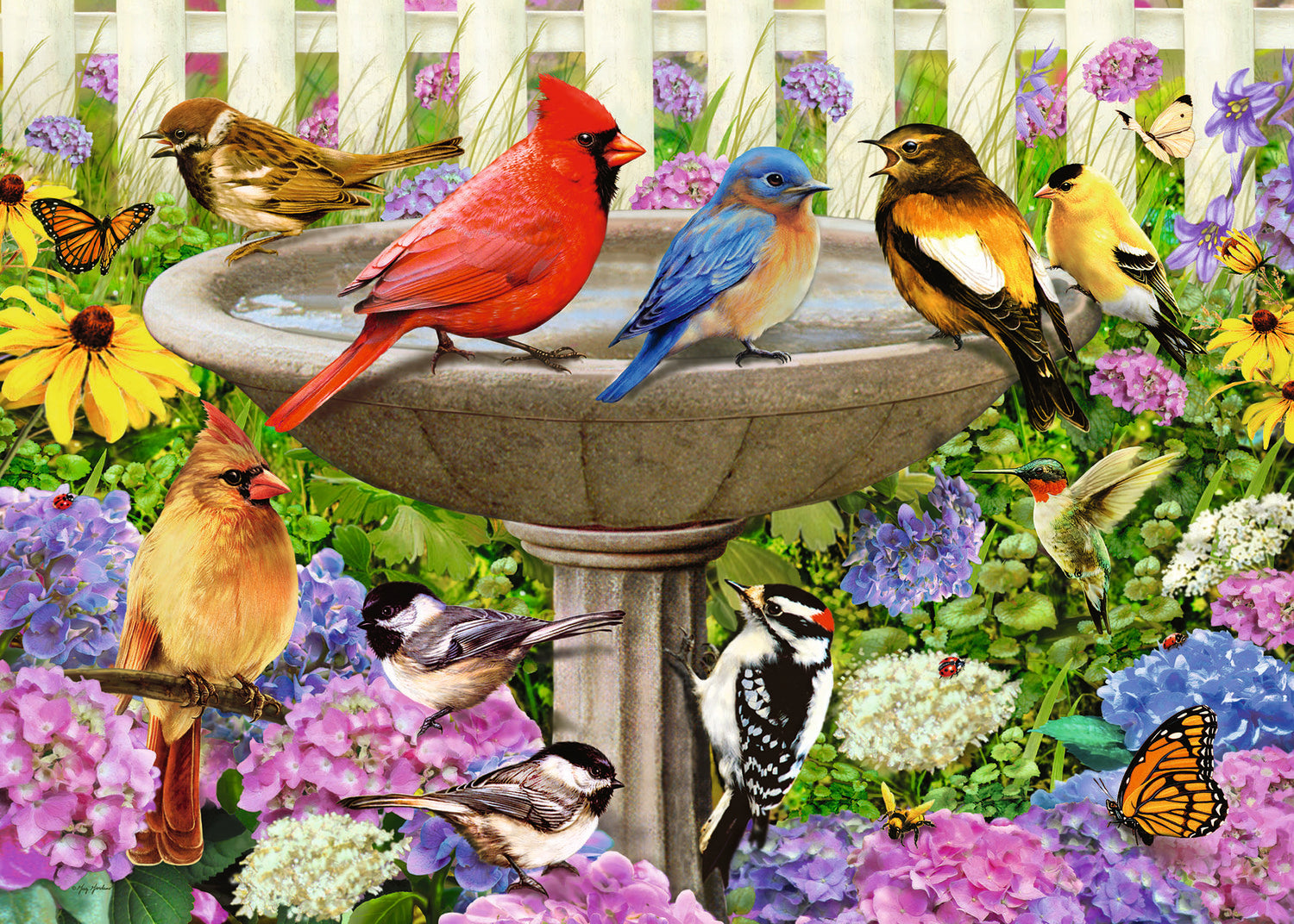 At the Birdbath