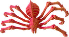 Twiddle Spider