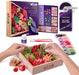 OKTO Sensory Art Wood & Craft Succulents Passion