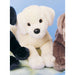 Mandy Yellow Lab