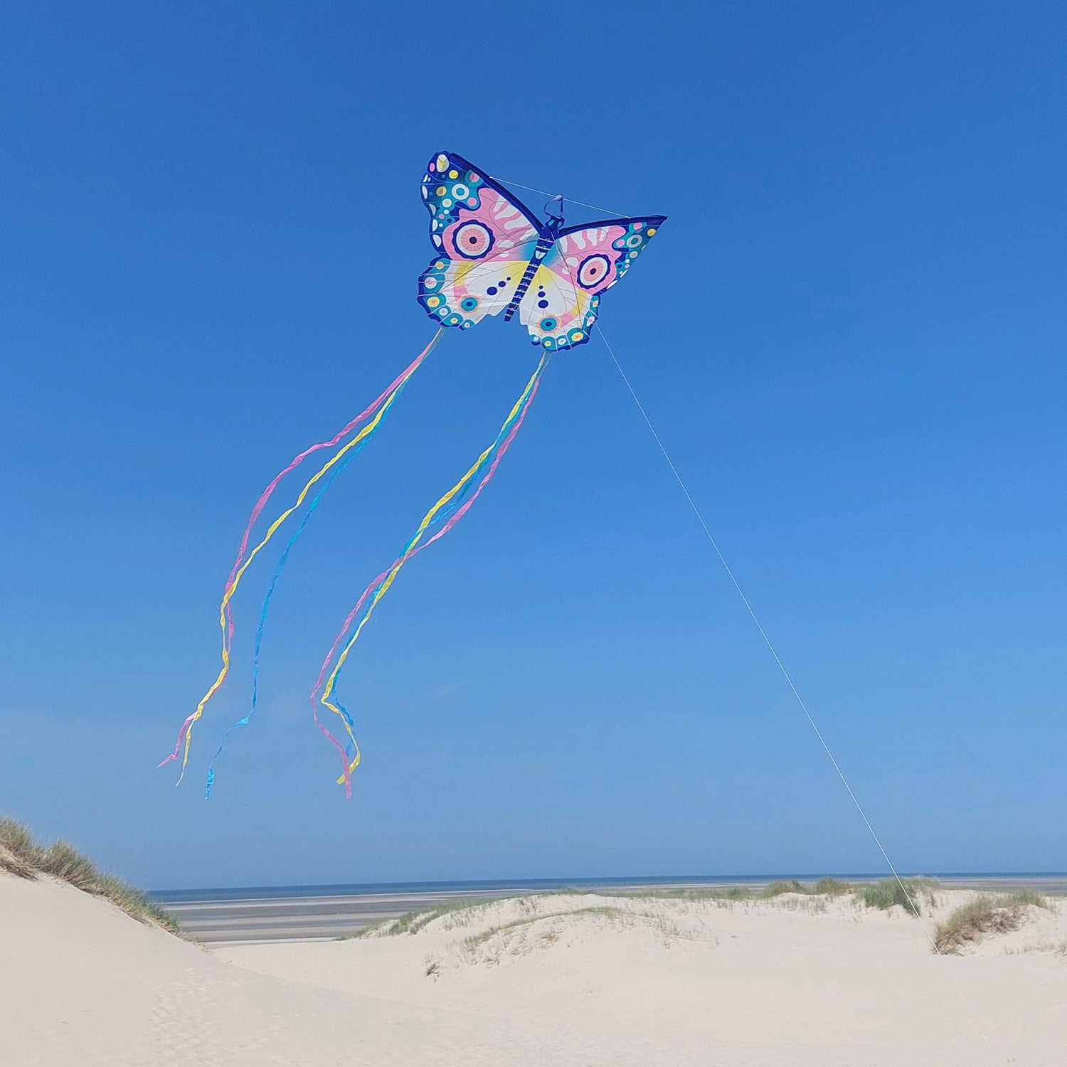 Giant Maxi Butterfly Kite