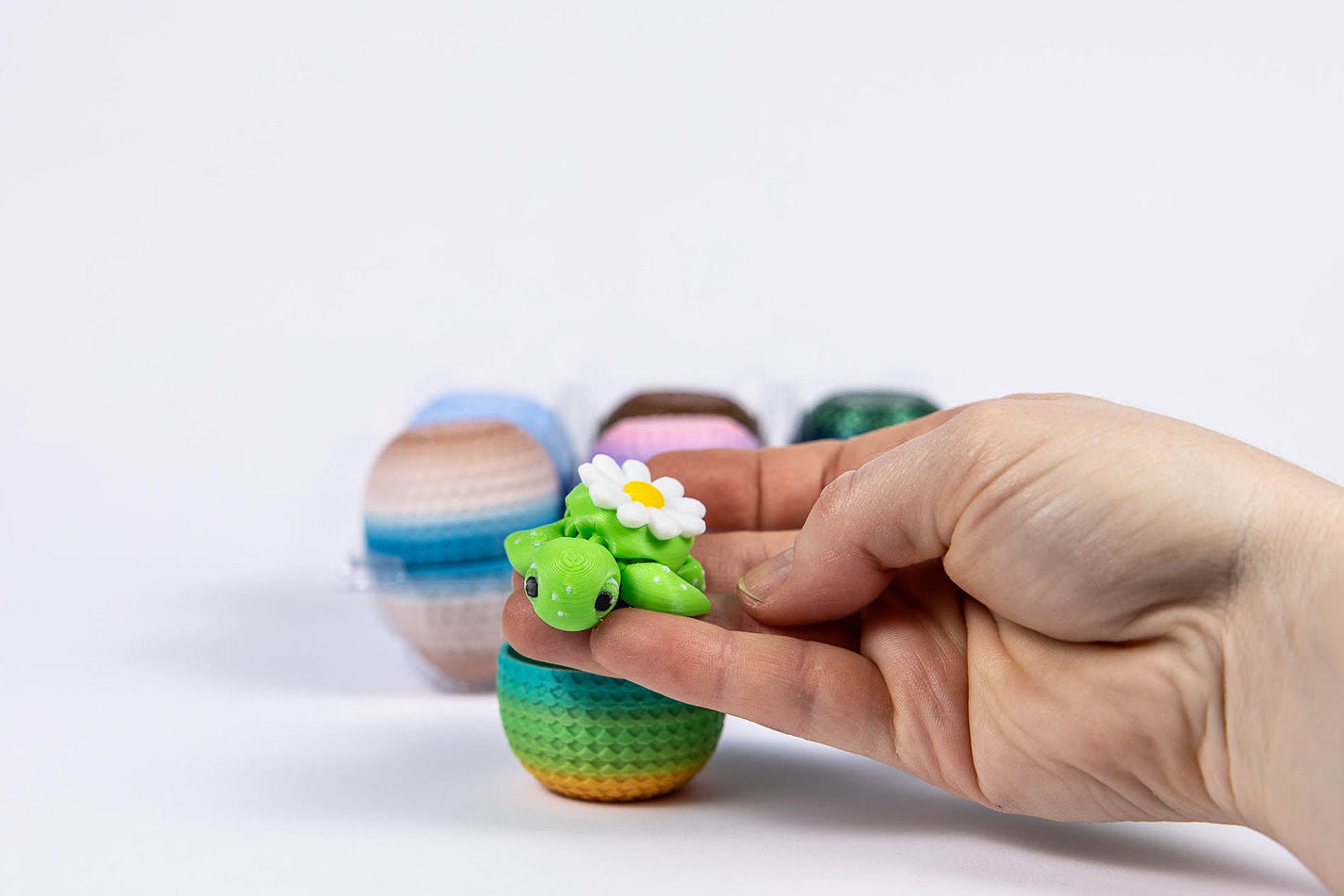 Mystery Turtle Eggs - 6-pack