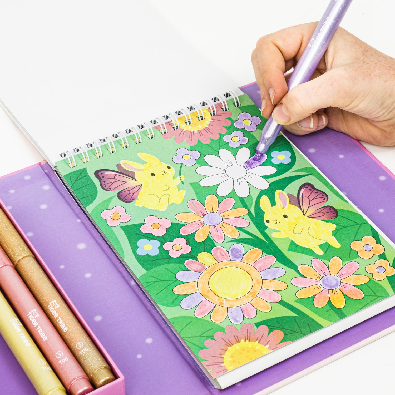 Shimmer Coloring Set - Little Fairy Friends
