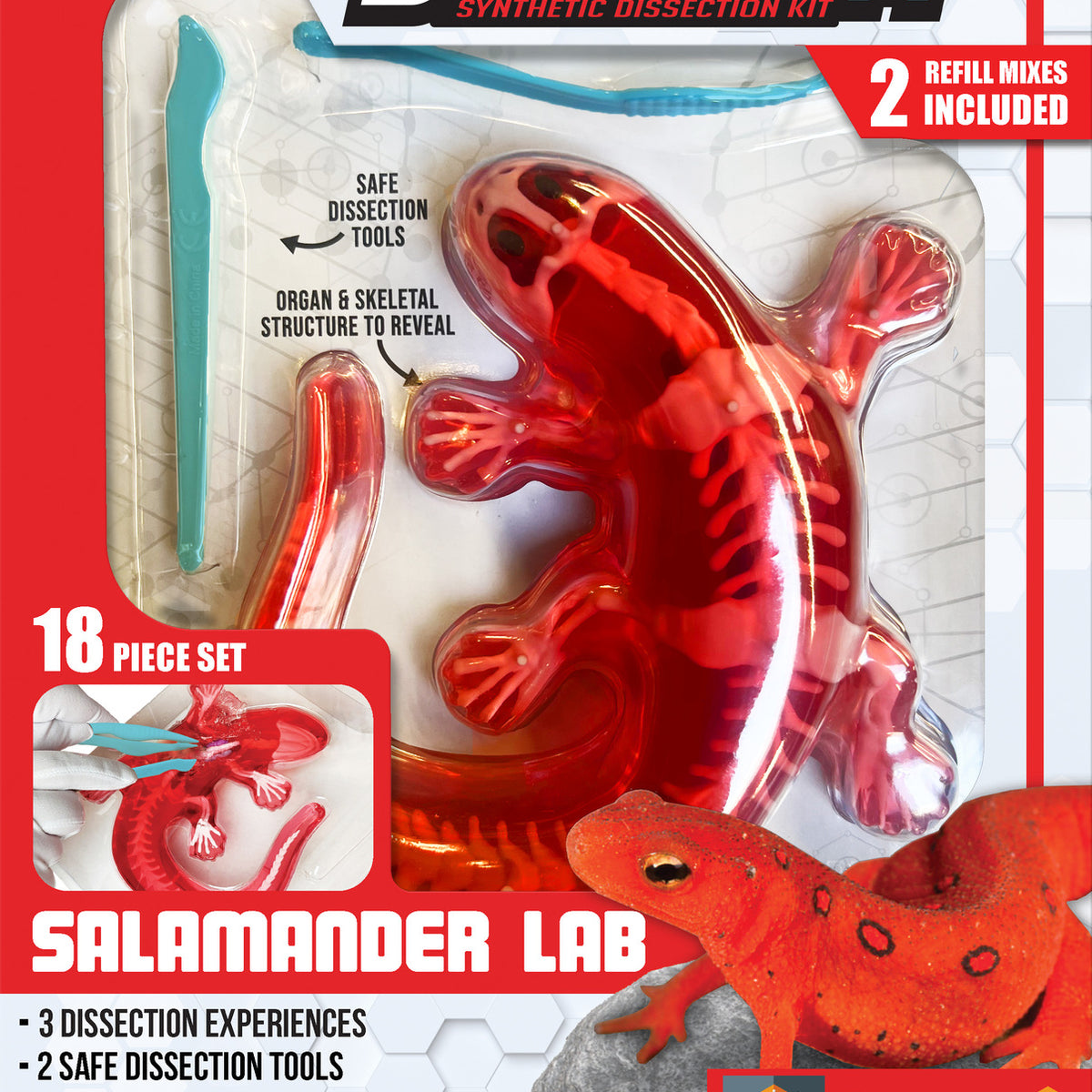 Dissect-It® Salamander Lab — Piccolo Mondo Toys