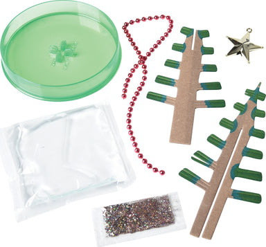 Grow a Christmas Tree