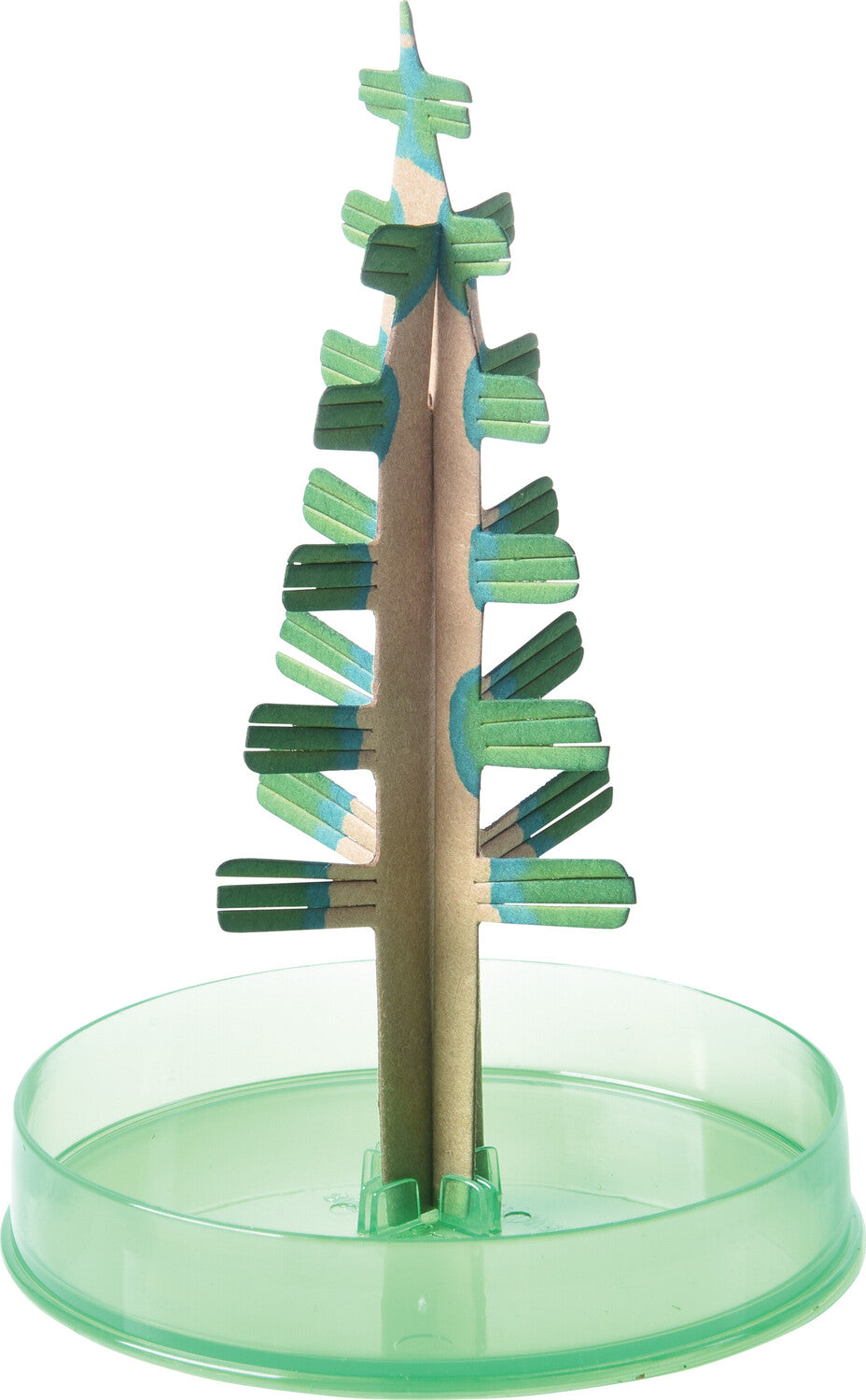 Grow a Christmas Tree