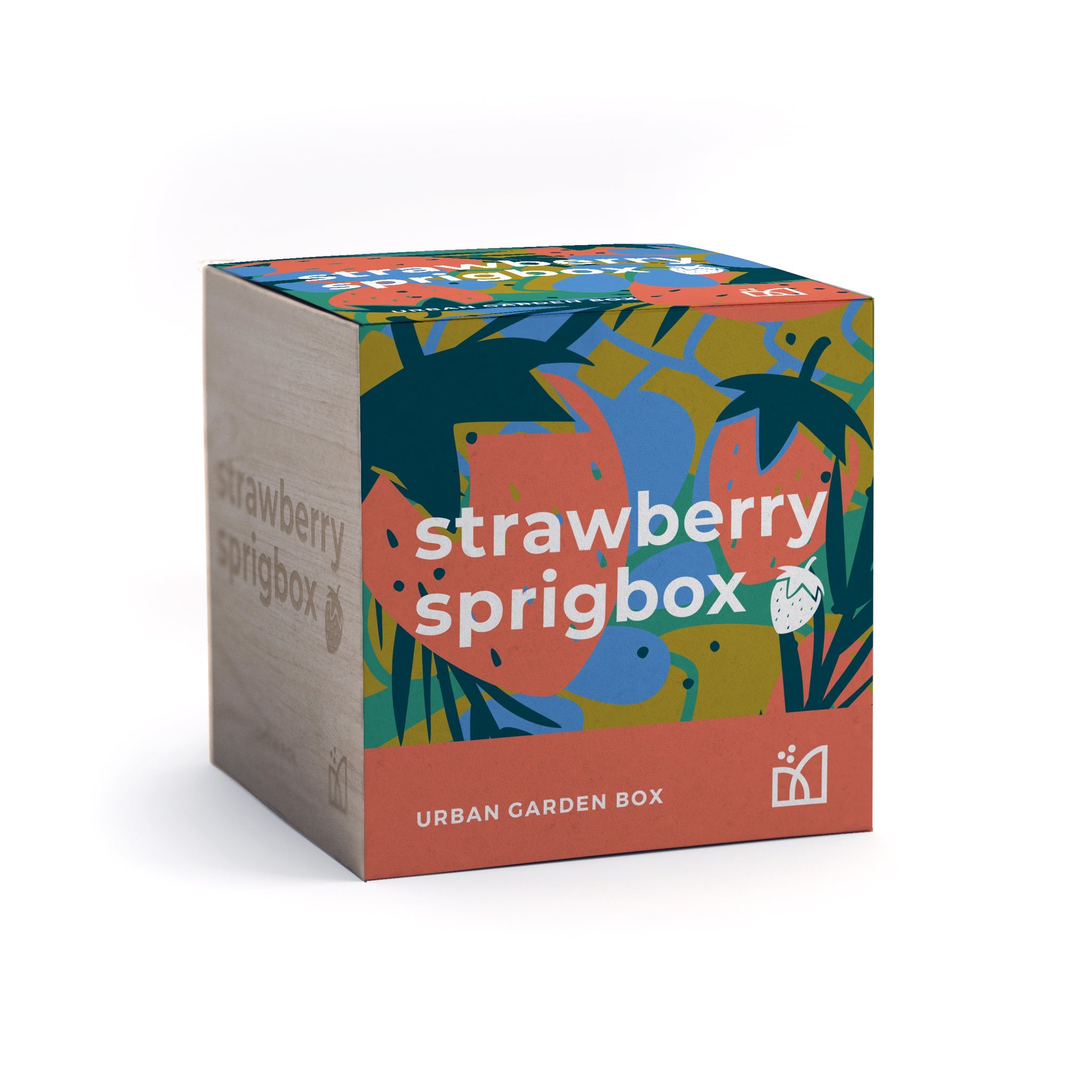 Sprigbox Strawberry Garden Grow Kit
