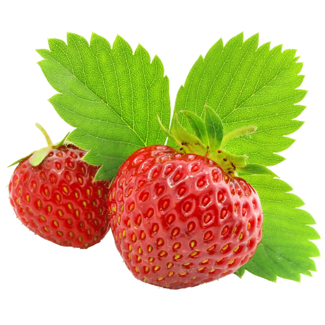 Sprigbox Strawberry Garden Grow Kit