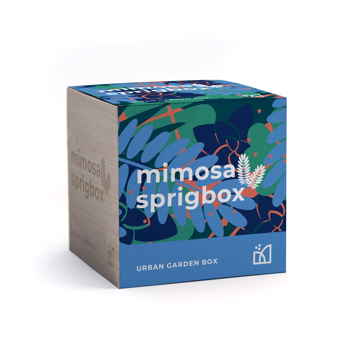 Sprigbox Mimosa Garden Grow Kit