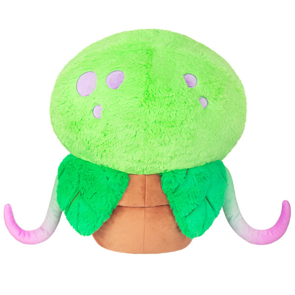 Venus Fly Trap Large Squishable