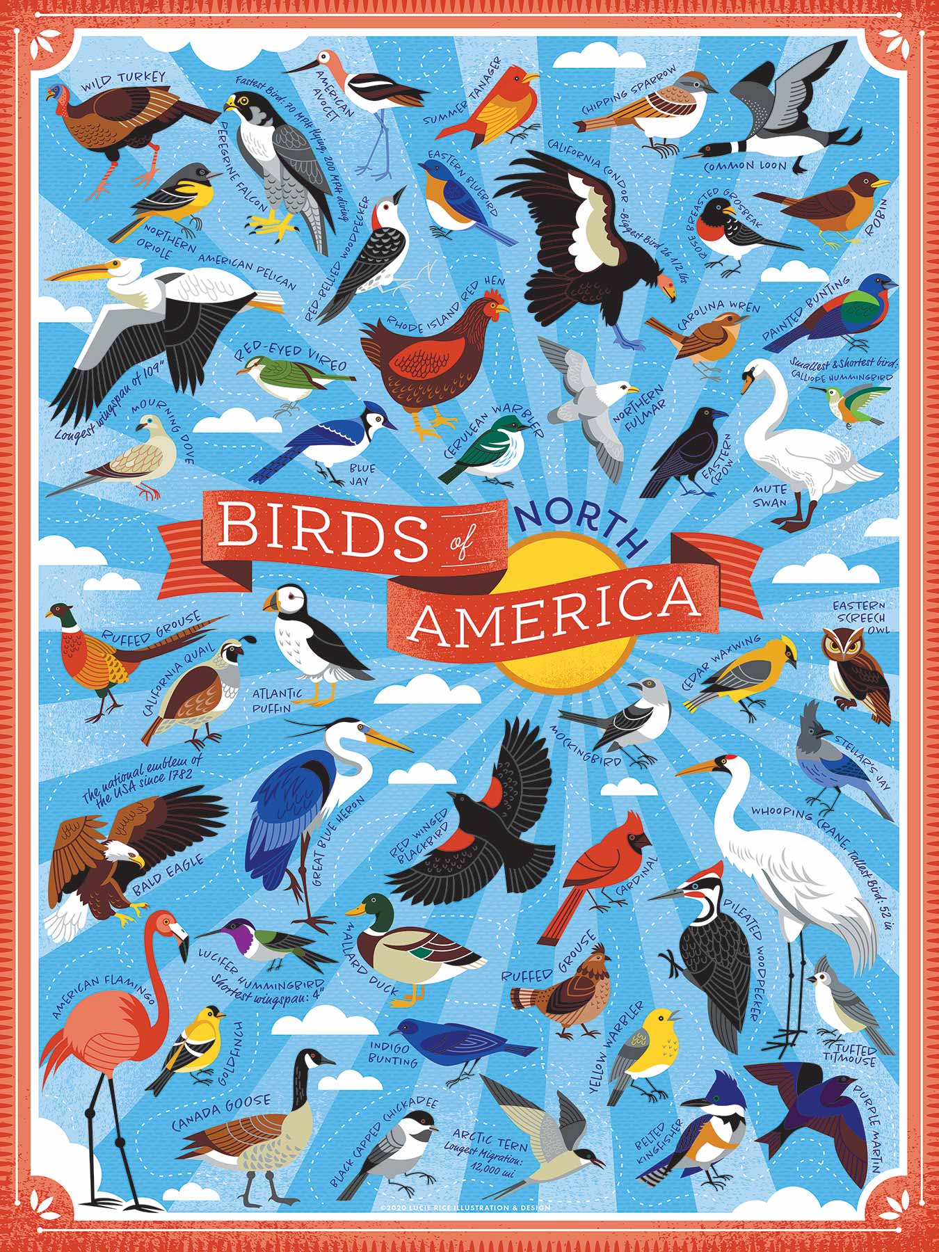 Birds of North America 500 pc. Puzzle