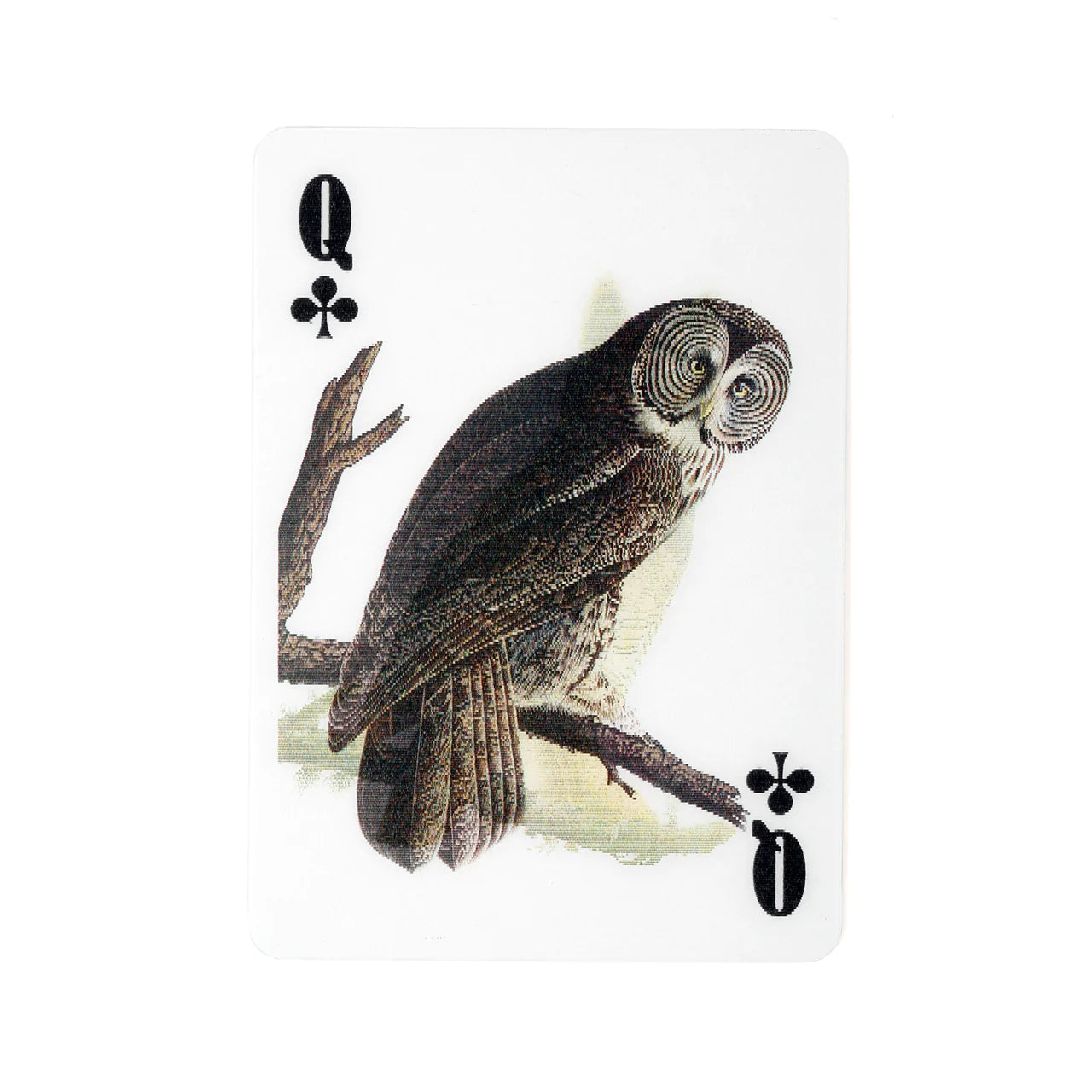 Birds 3D Playing Cards