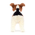 Hector Fox Terrier