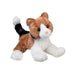 Maps Calico Cat