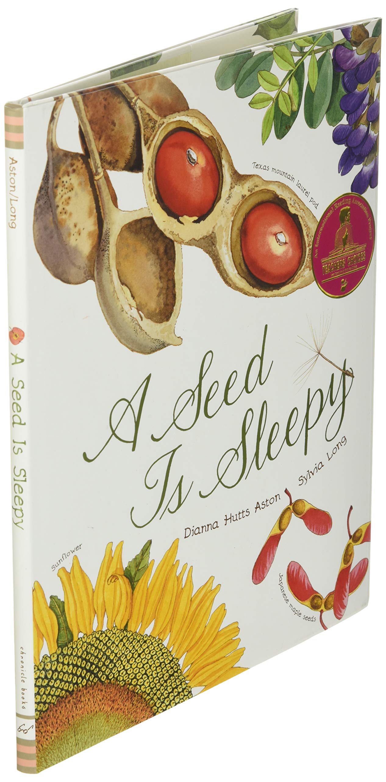 Seed Is Sleepy Hard Cover