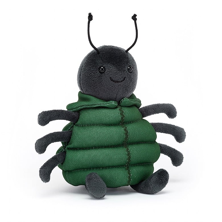 Anoraknid Black Spider