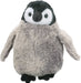 Cuddles Penguin Chick