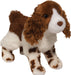 Flair Springer Spaniel