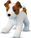 Feisty Jack Russell