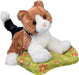 Maps Calico Cat
