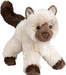 Hilda Himalayan Cat