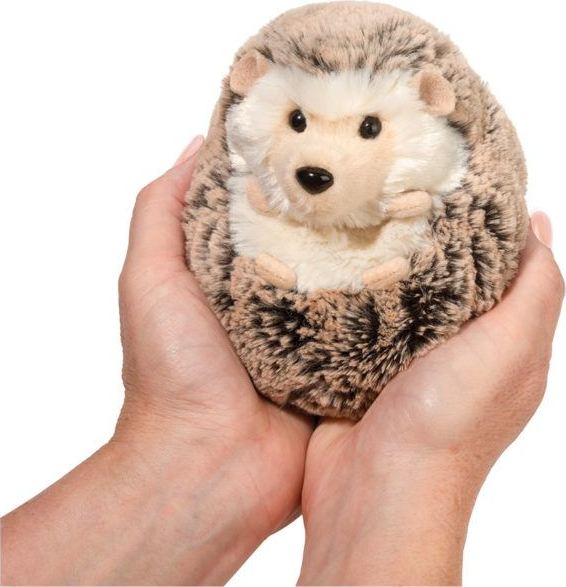 Spunky Hedgehog