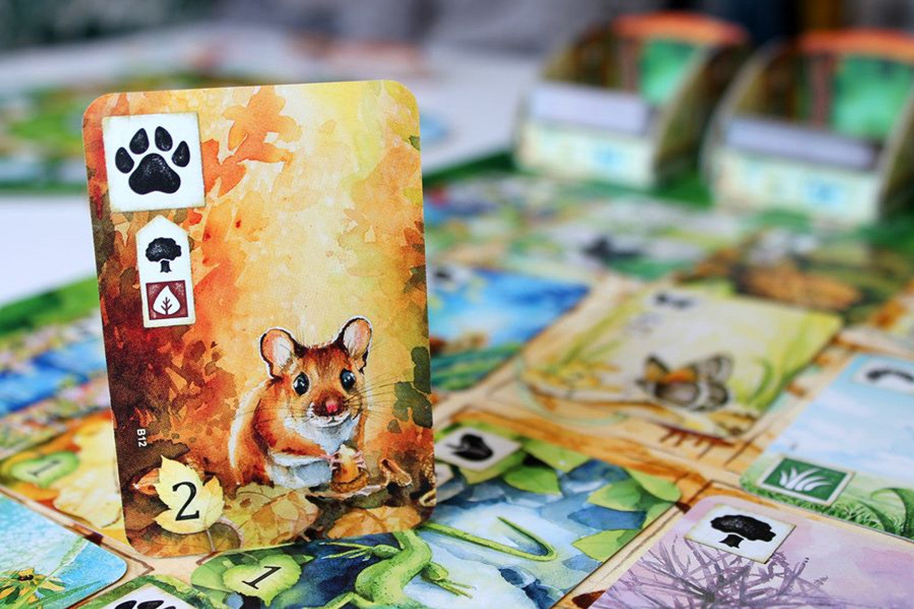 I tre regni della natura: animale, vegetale e minerale I tre regni della natura: animale, vegetale e minerale