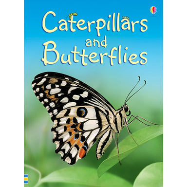 Caterpillars and Butterflies IR (Level 1)