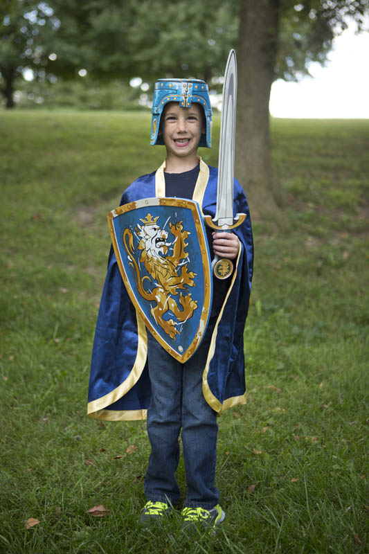Noble Knight Blue Sword