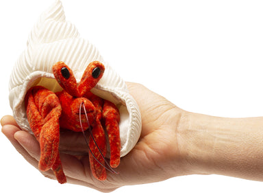 Mini Hermit Crab