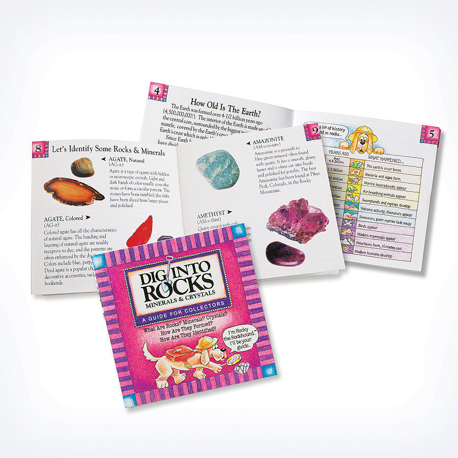 Dig Into Rocks Books