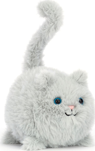 Kitten Caboodle Grey