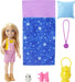 Barbie Doll And Accessories - HDF77