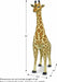 Giraffe Giant Stuffed Animal