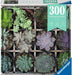  Green Succulents 300 pc Puzzle Moments Puzzle