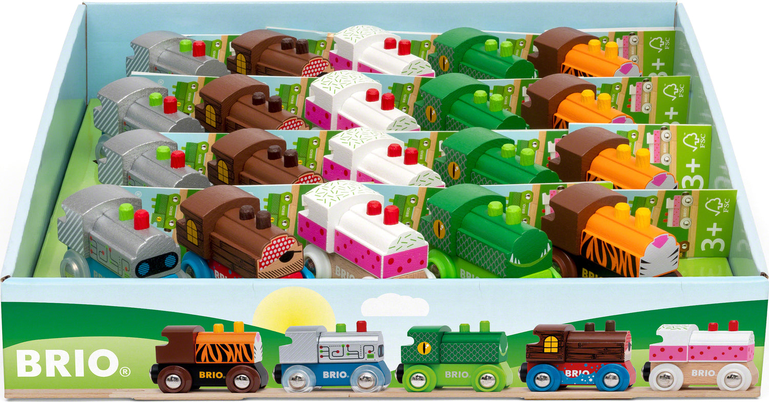 Brio Themed Train