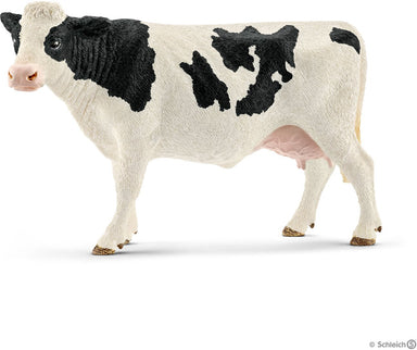 Holstein Cow