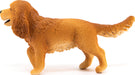 English Cocker Spaniel