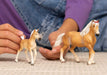 Haflinger Foal