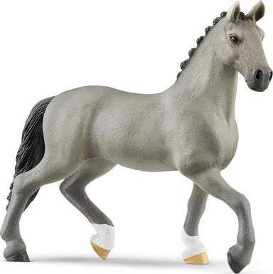 Selle Français Stallion