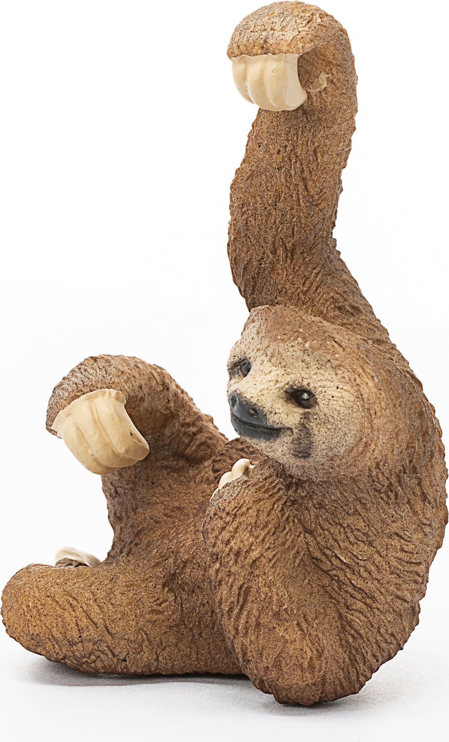 Sloth