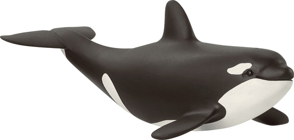 Baby Orca — Piccolo Mondo Toys