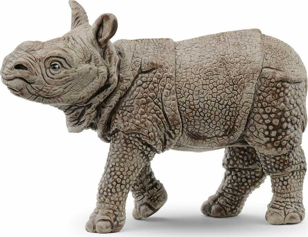 Indian Rhinoceros Baby