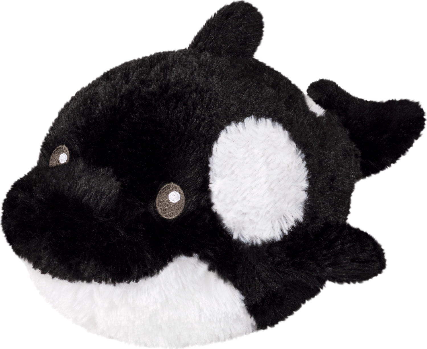 Mini Squishable Orca